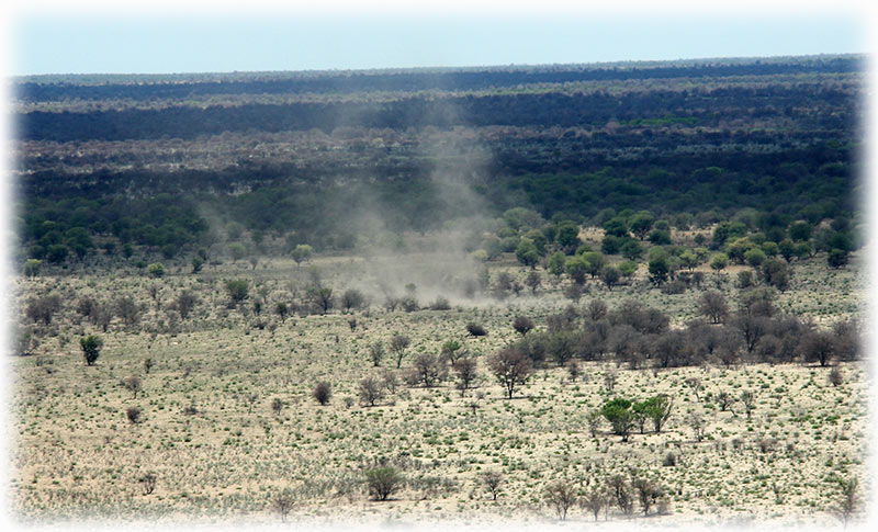 Aladdin flying to Maun from Kalahari with Wilderness Air