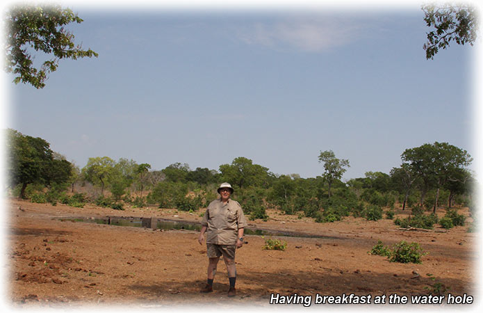 Aladdin's adventure at Chobe Game Lodge in Botswana - Game Drive