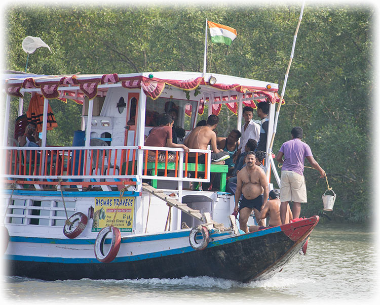 Tiger safari and bird watching in Sundarbans