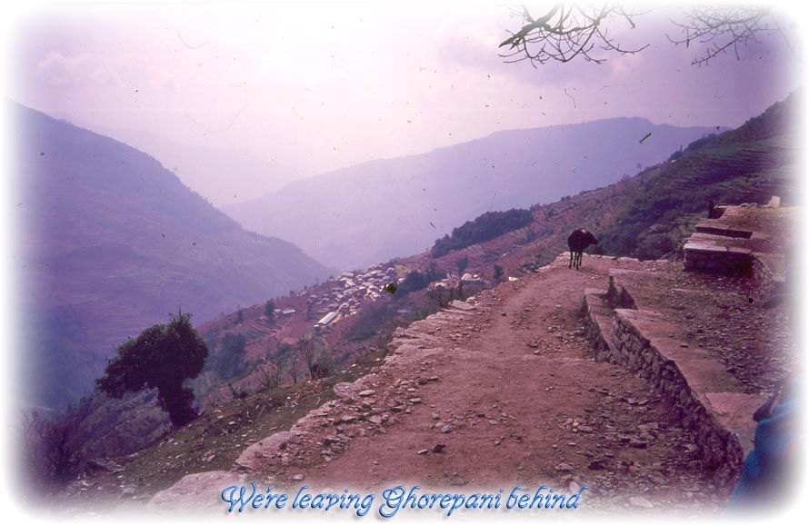 Annapurna, Nepal - Ghorepani trek 1994